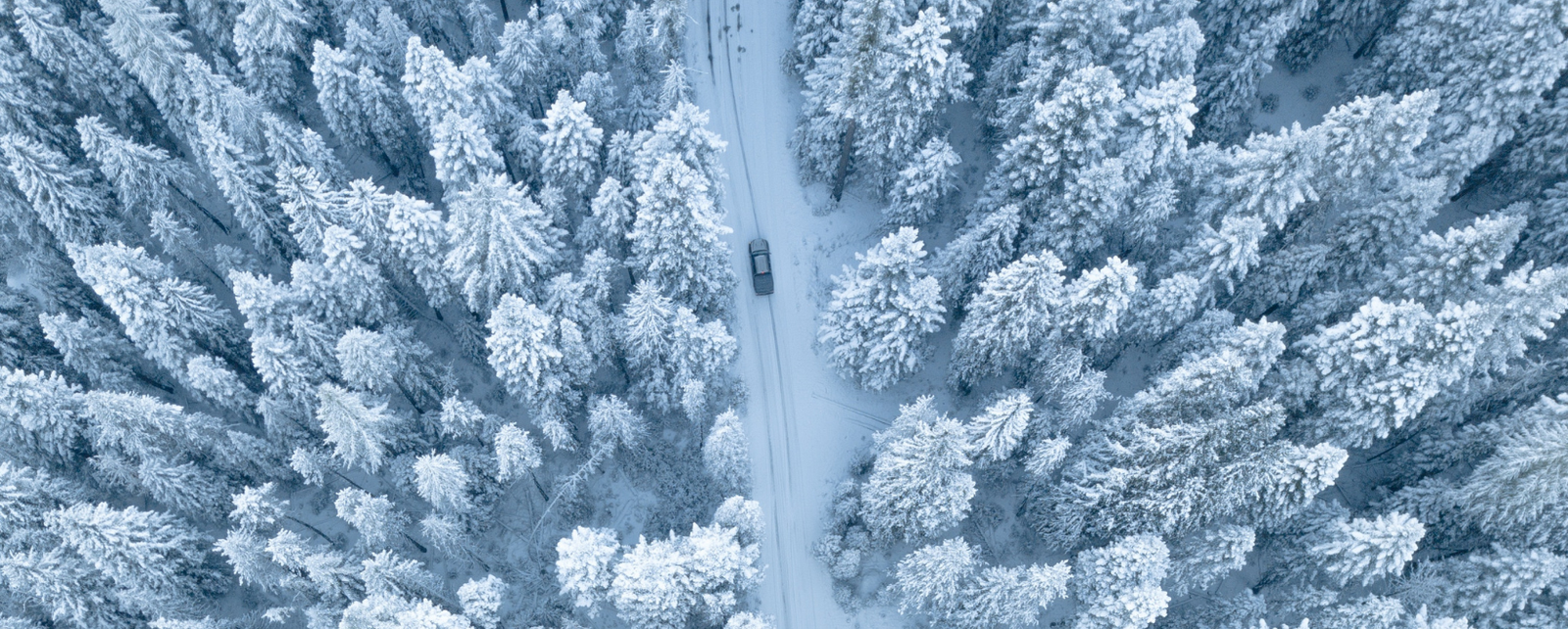 Cara aman mengendarai mobil manual di musim dingin - feature